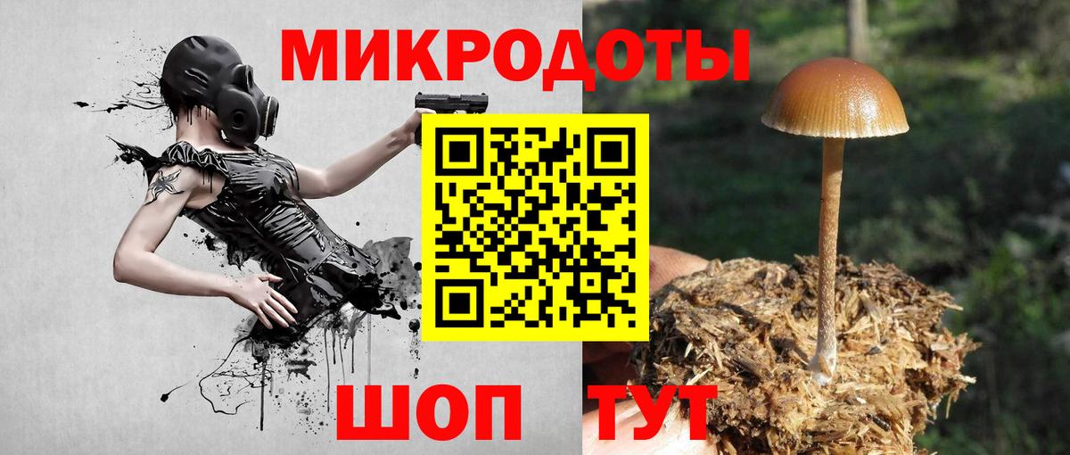 Псилоцибиновые грибы Magic Shrooms Коряжма